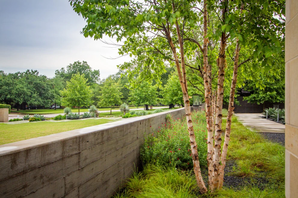 Dallas Project 5 by The Garden Design Studio - Photo 13