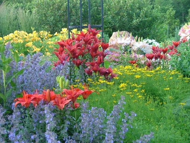 Planting Design and Plant Combinations by Sargent's Gardens - Photo 8
