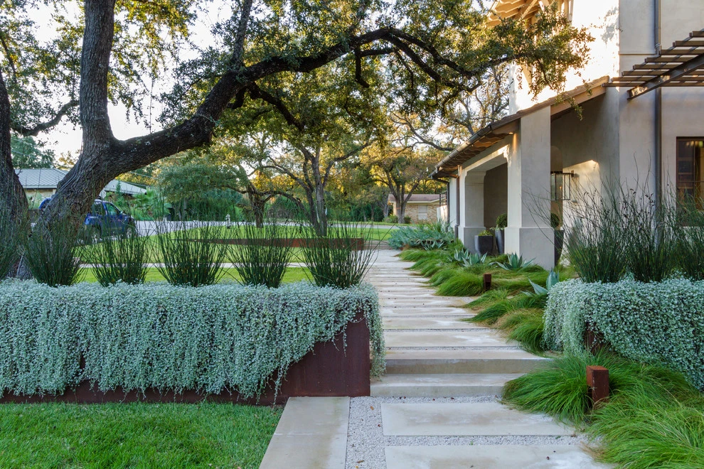 Rollingwood Residence by The Garden Design Studio - Photo 13