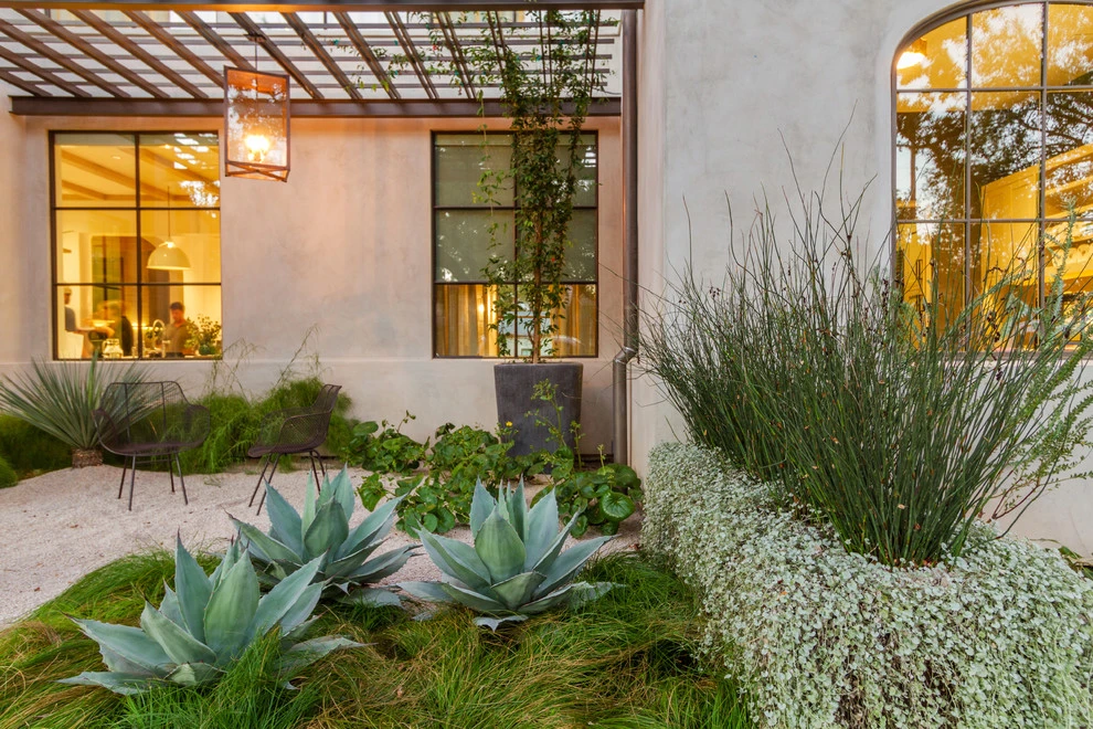 Rollingwood Residence by The Garden Design Studio - Photo 10