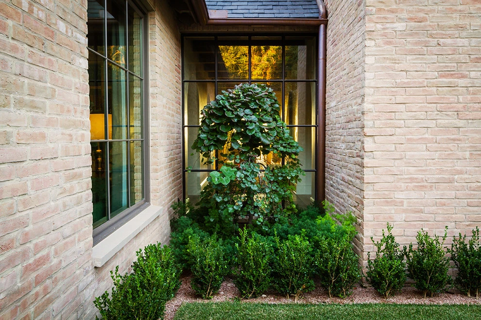 Westlake Hills 1 by The Garden Design Studio - Photo 14