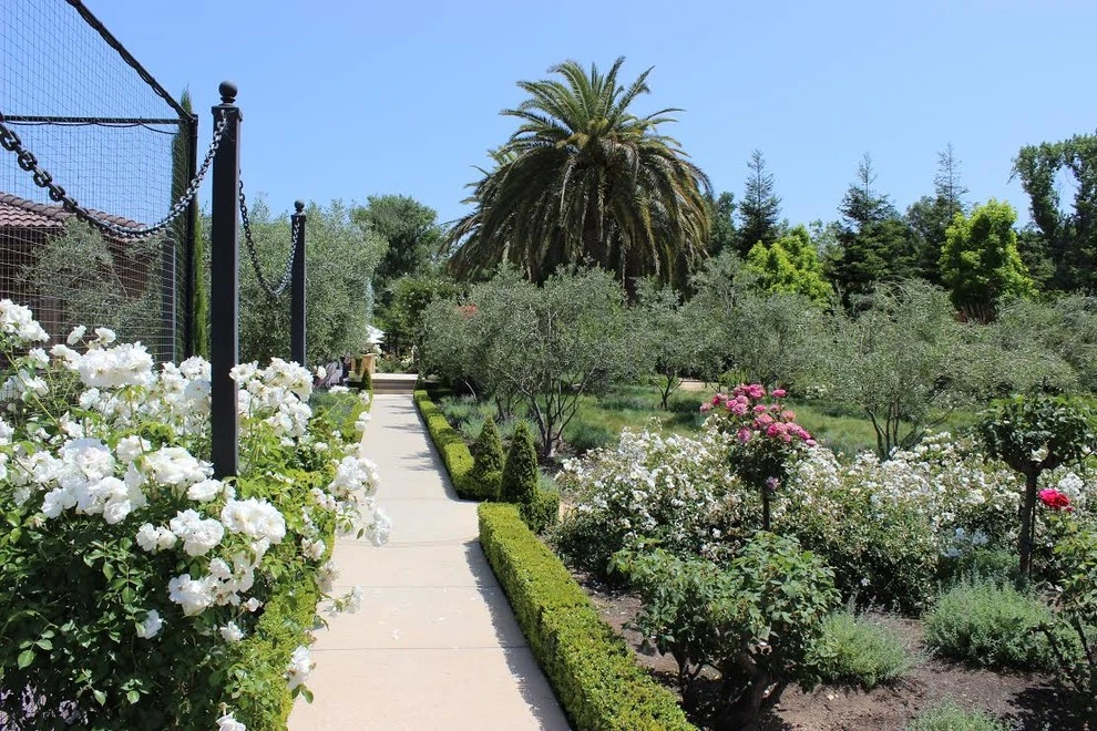 Acampo Garden by The Office Of Jeffrey F. Gamboni - Photo 4