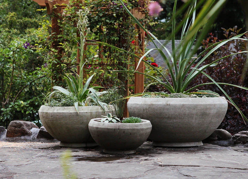 Lots Of Pots by The White Pear LLC, Design & Build - Photo 5