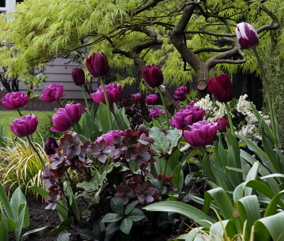Lake Oswego, Oregon Cottage Style Garden by The White Pear LLC, Design & Build - Photo 7