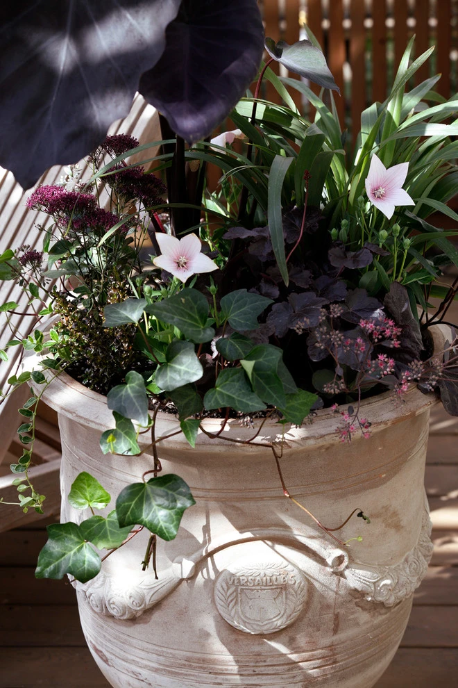 Lots Of Pots by The White Pear LLC, Design & Build - Photo 15