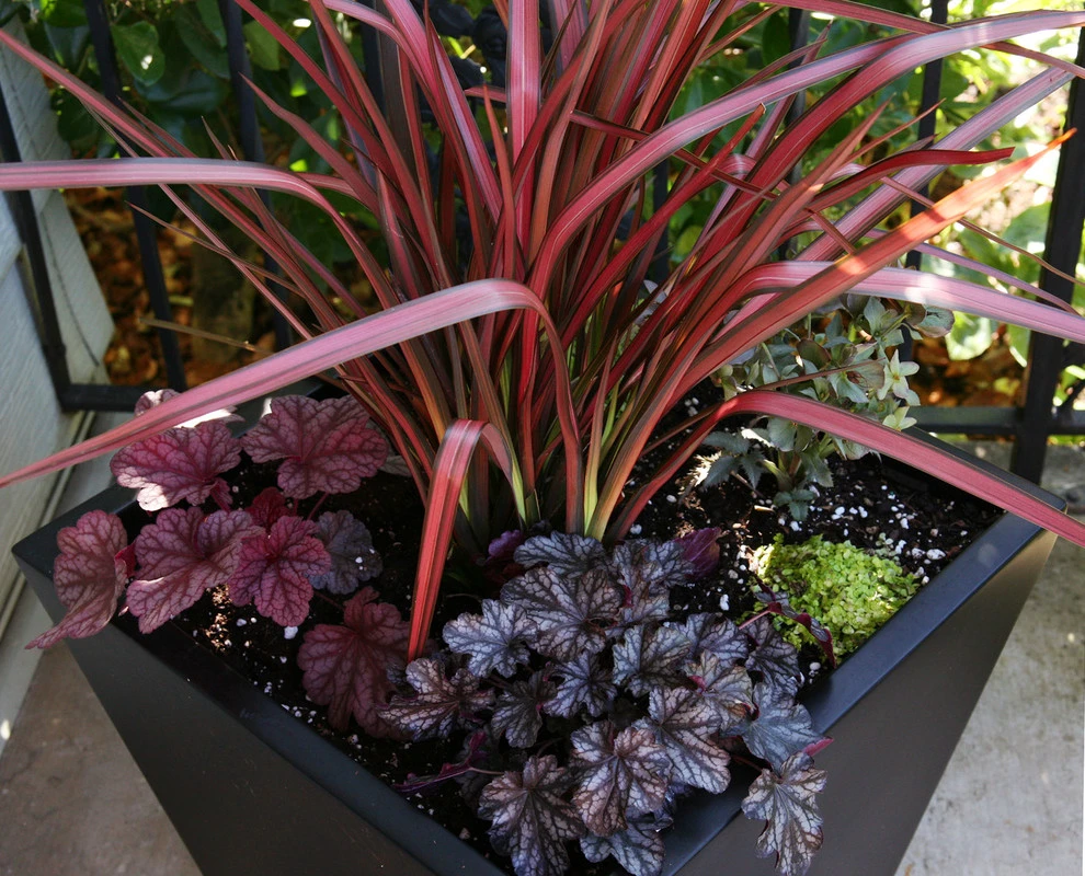 Lots Of Pots by The White Pear LLC, Design & Build - Photo 6