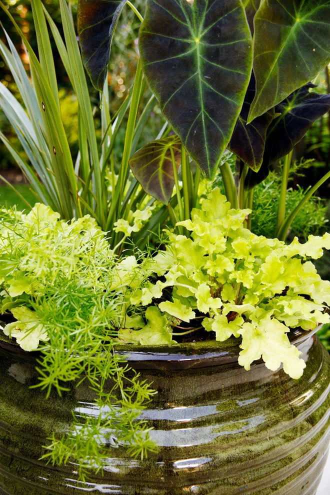 Lots Of Pots by The White Pear LLC, Design & Build - Photo 13
