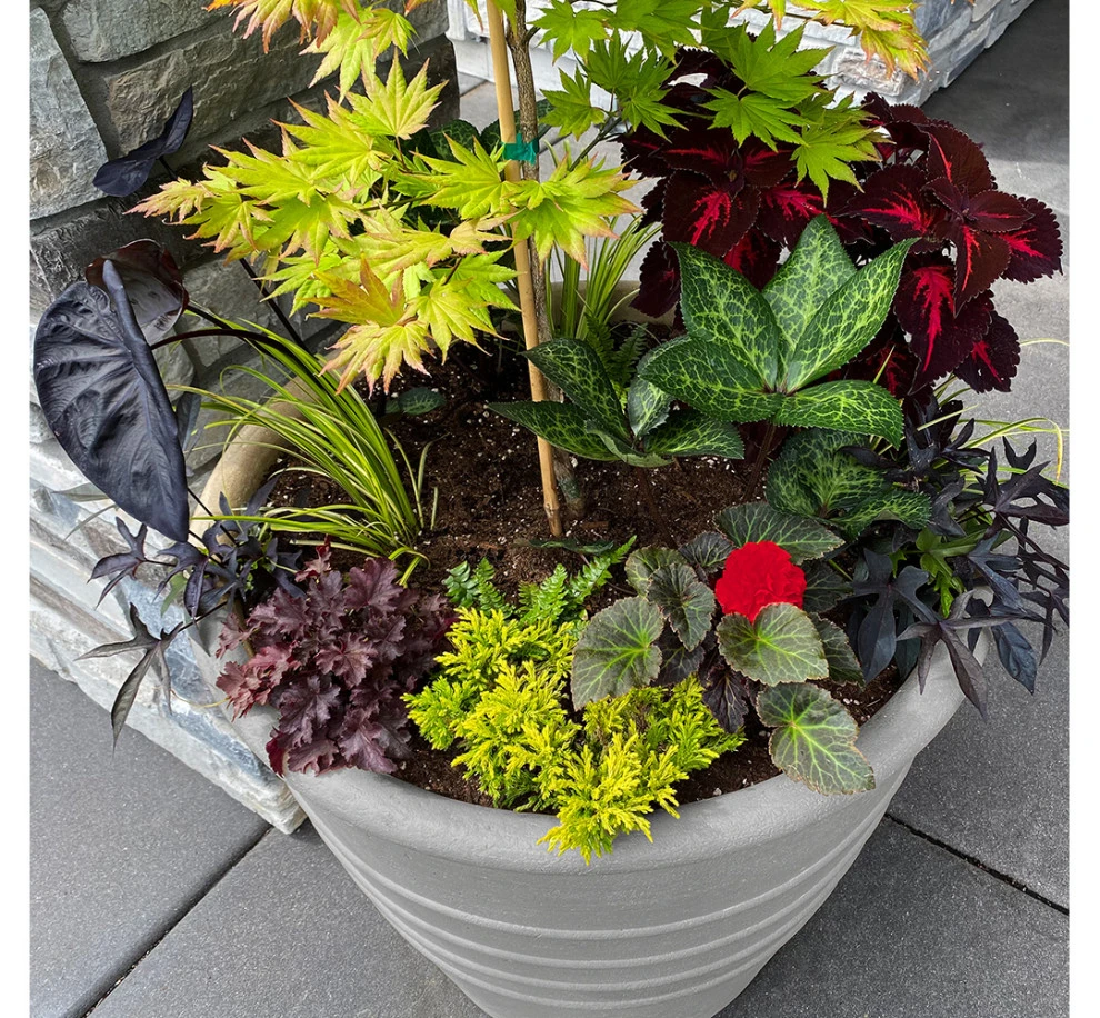 Lots Of Pots by The White Pear LLC, Design & Build - Photo 4