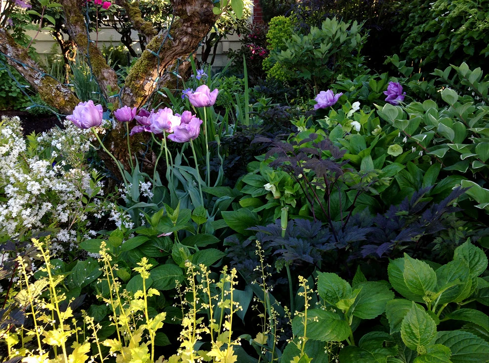 Portland, Oregon Cottage Style Garden Design by The White Pear LLC, Design & Build - Photo 8