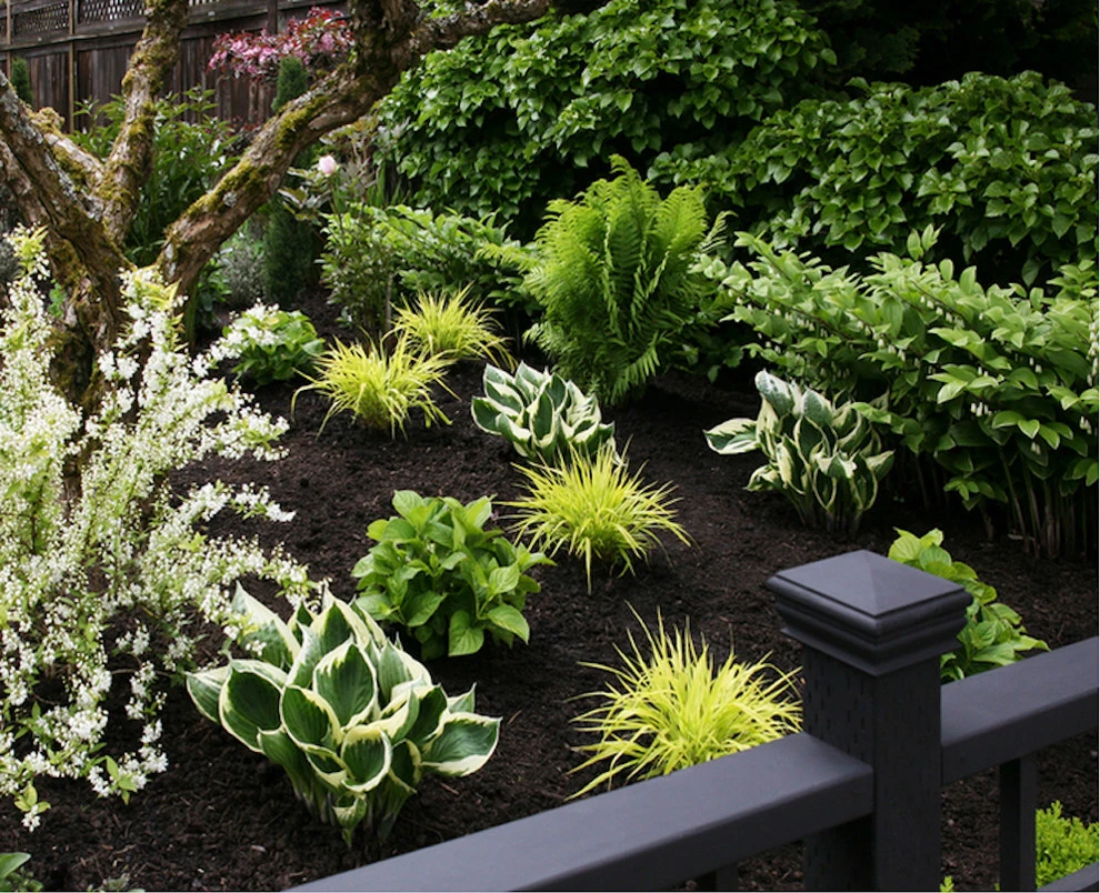 Portland, Oregon Cottage Style Garden Design by The White Pear LLC, Design & Build - Photo 9