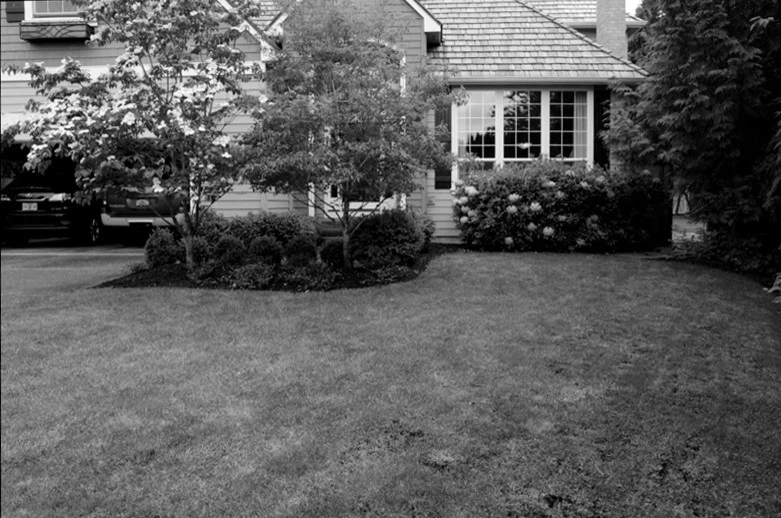 Lake Oswego, Oregon Cottage Style Garden by The White Pear LLC, Design & Build - Photo 4