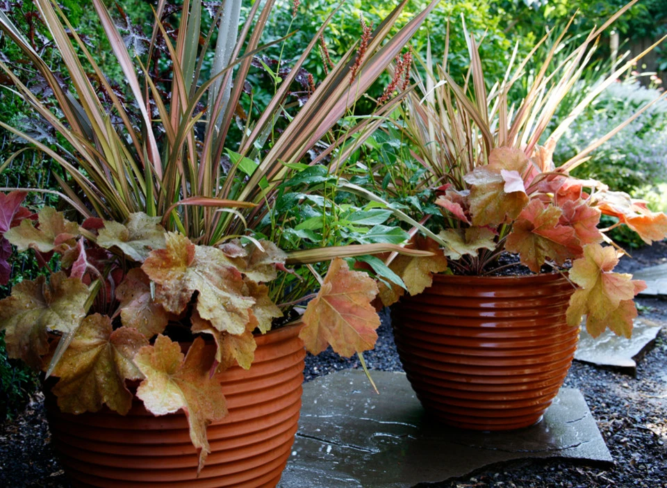 Lots Of Pots by The White Pear LLC, Design & Build - Photo 8
