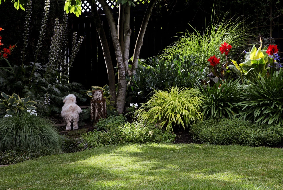 Portland, Oregon Tropical Garden Design by The White Pear LLC, Design & Build - Photo 4