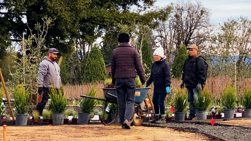 Winter Install In The Wine Country by The White Pear LLC, Design & Build - Photo 4