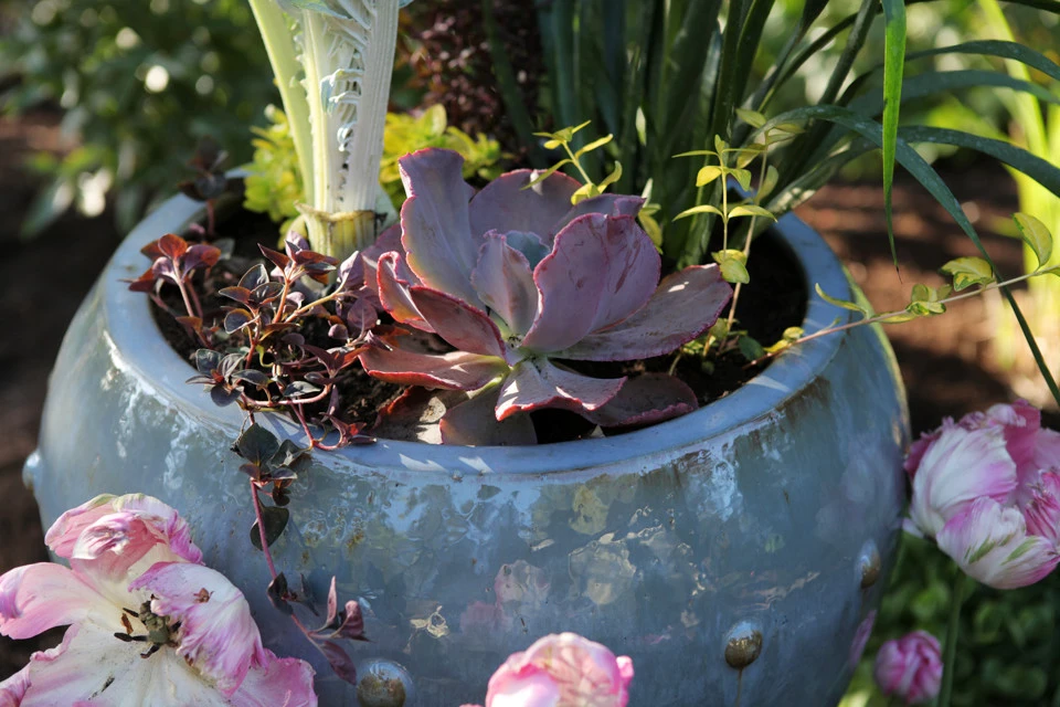 Lots Of Pots by The White Pear LLC, Design & Build - Photo 7