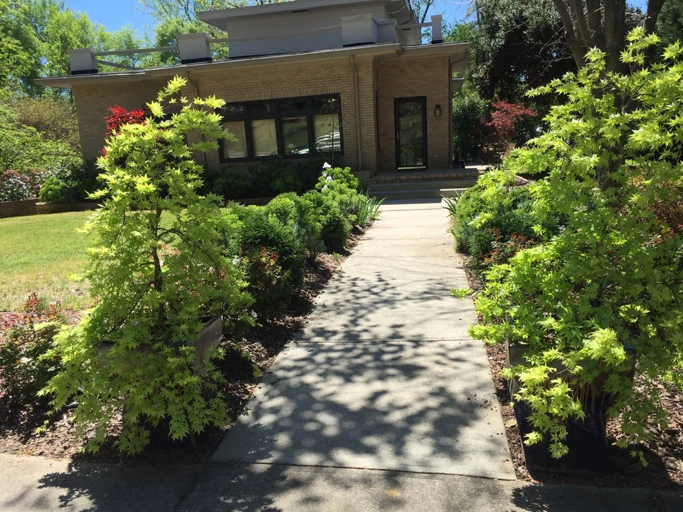 Uncovering a Gem - Atlanta, GA by Tilting Windmill Landscape Design - Photo 6