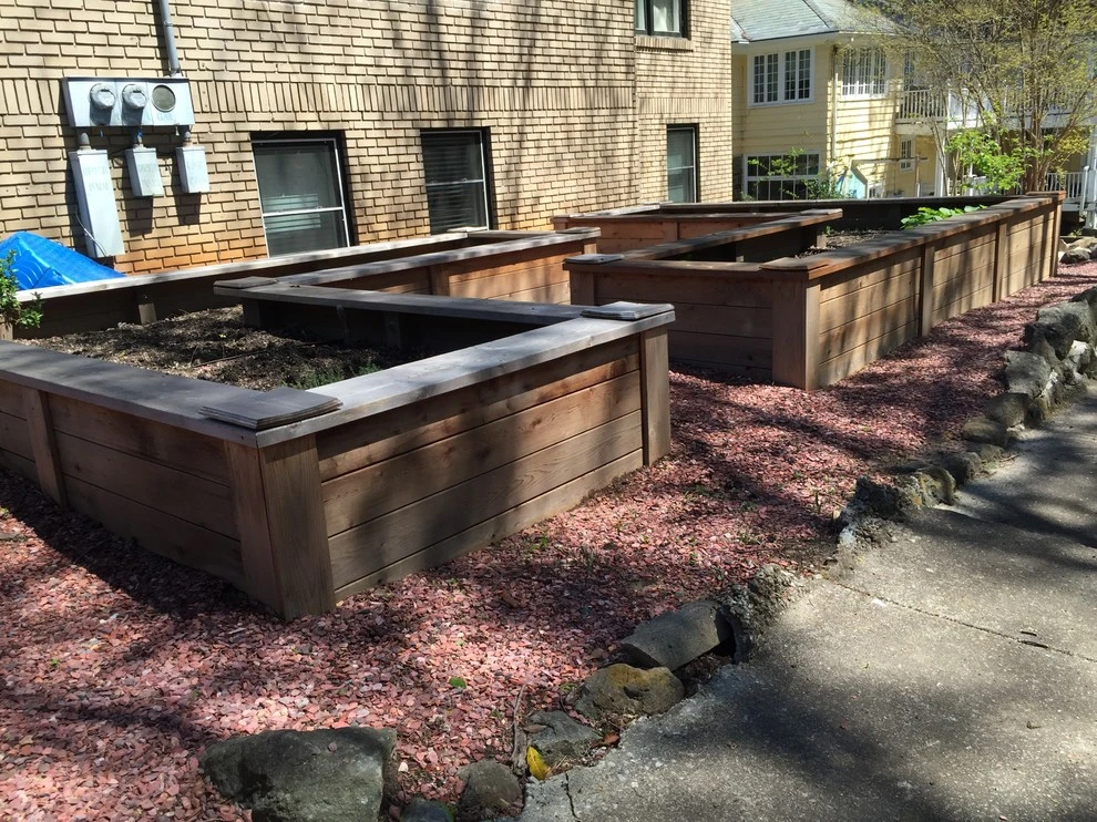 Uncovering a Gem - Atlanta, GA by Tilting Windmill Landscape Design - Photo 3