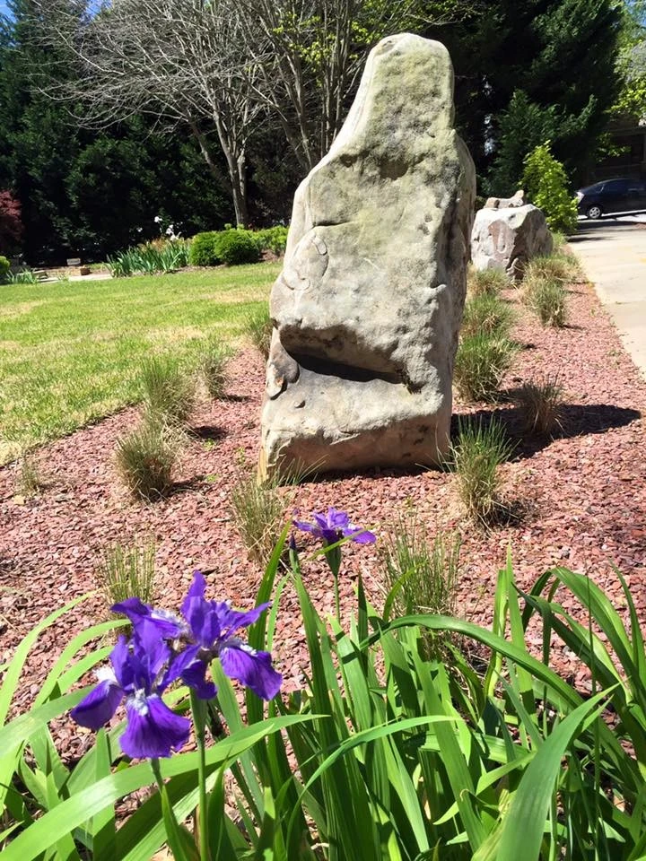 Tilting Windmill Landscape Design - Photo 5