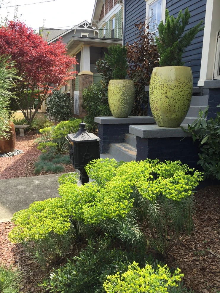 Fun Bungalow in Atlanta, GA by Tilting Windmill Landscape Design - Photo 3