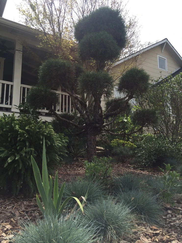Tilting Windmill Landscape Design - Photo 9