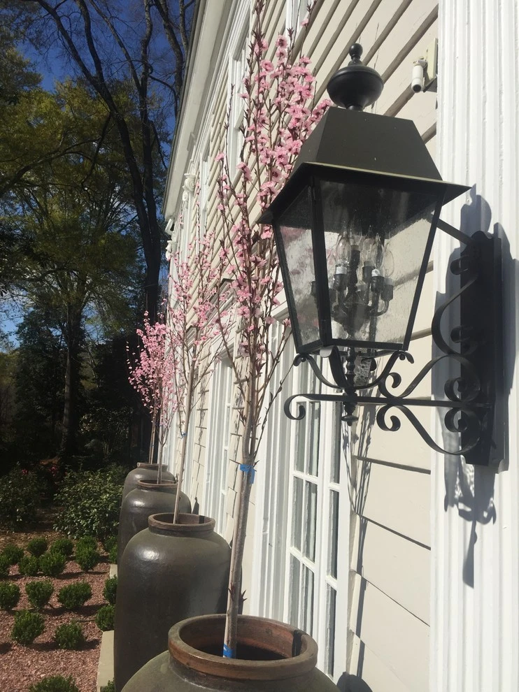 Landscape Remodel in Atlanta, GA by Tilting Windmill Landscape Design - Photo 6