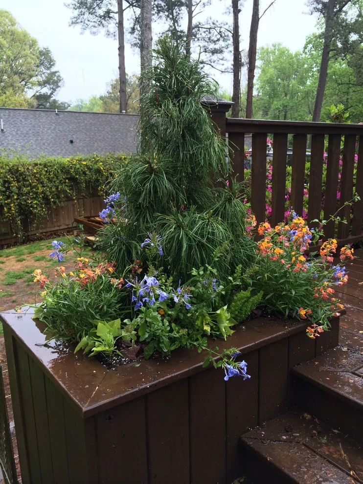 Tilting Windmill Landscape Design - Photo 13