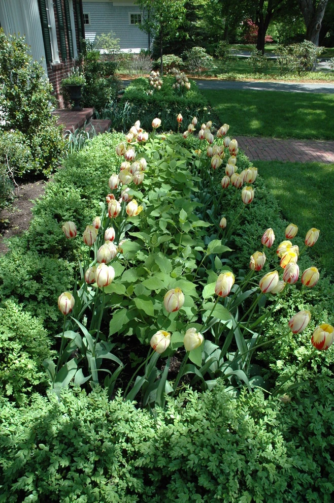 Slocum Rd. by Timothy Lee Landscape Design - Photo 8