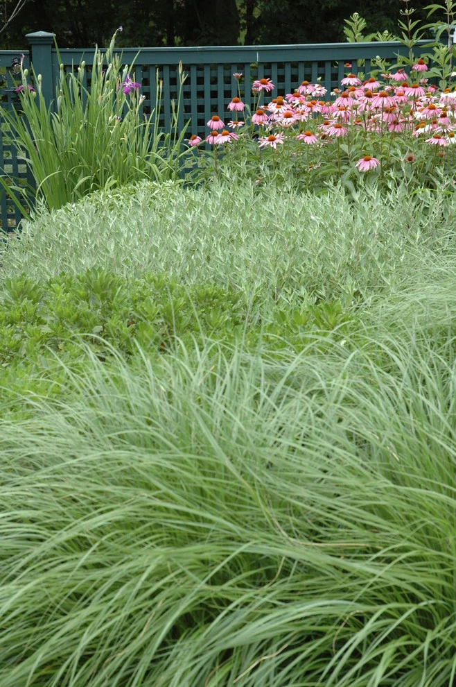 Slocum Rd. by Timothy Lee Landscape Design - Photo 5