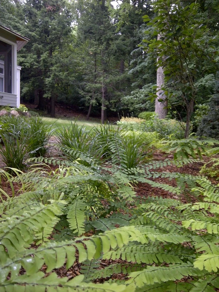 Diana Lane by Timothy Lee Landscape Design - Photo 11