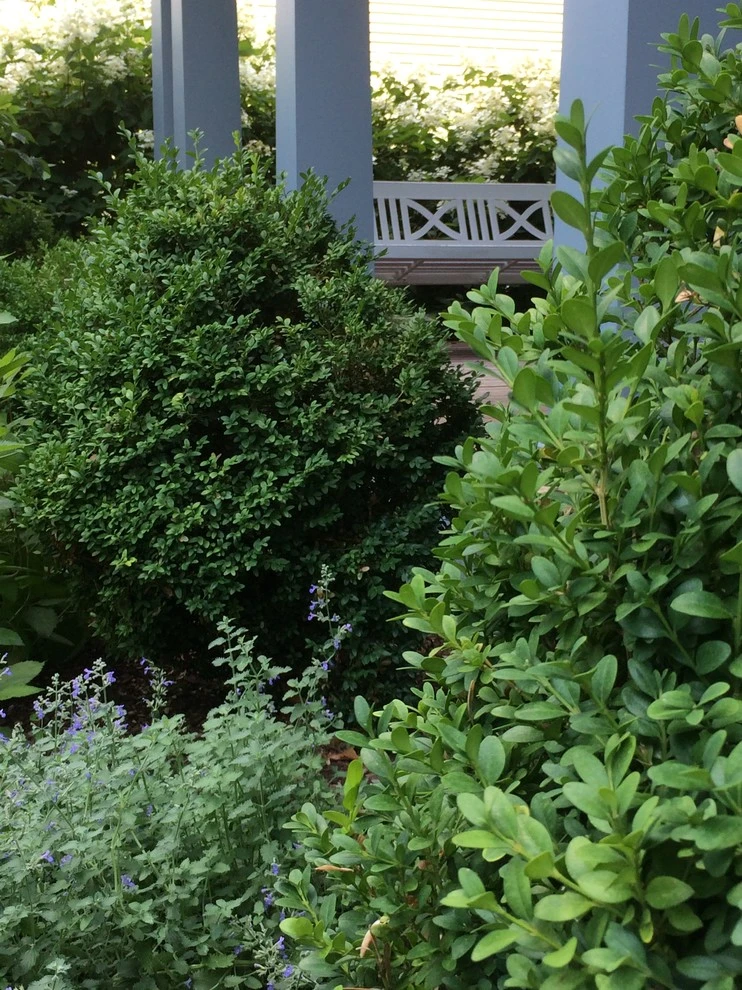 Wachusett Drive by Timothy Lee Landscape Design - Photo 8