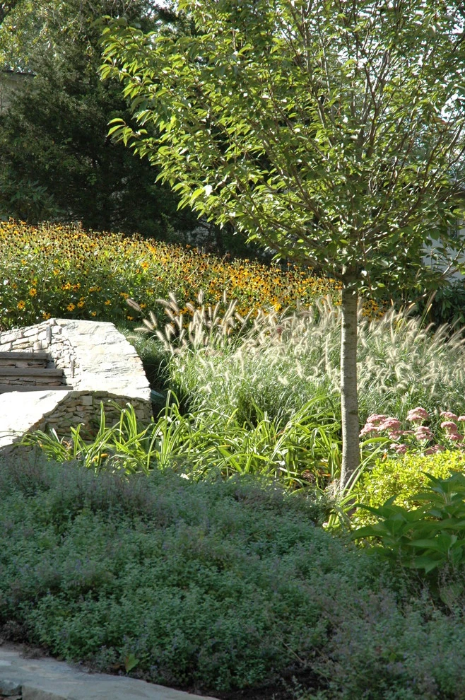 Hillside Garden by Timothy Lee Landscape Design - Photo 3