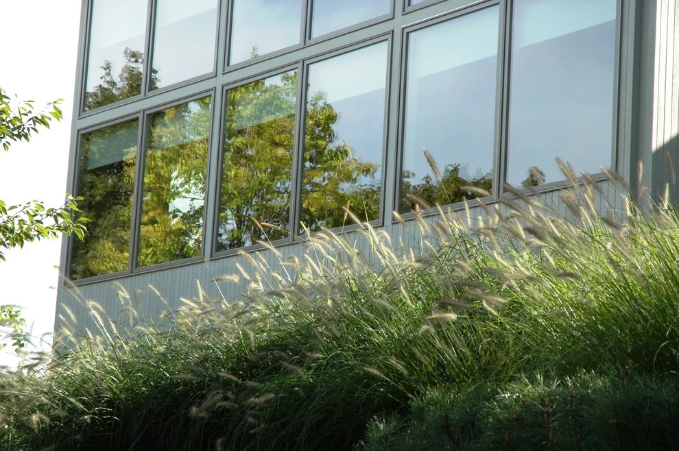 Hillside Garden by Timothy Lee Landscape Design - Photo 5
