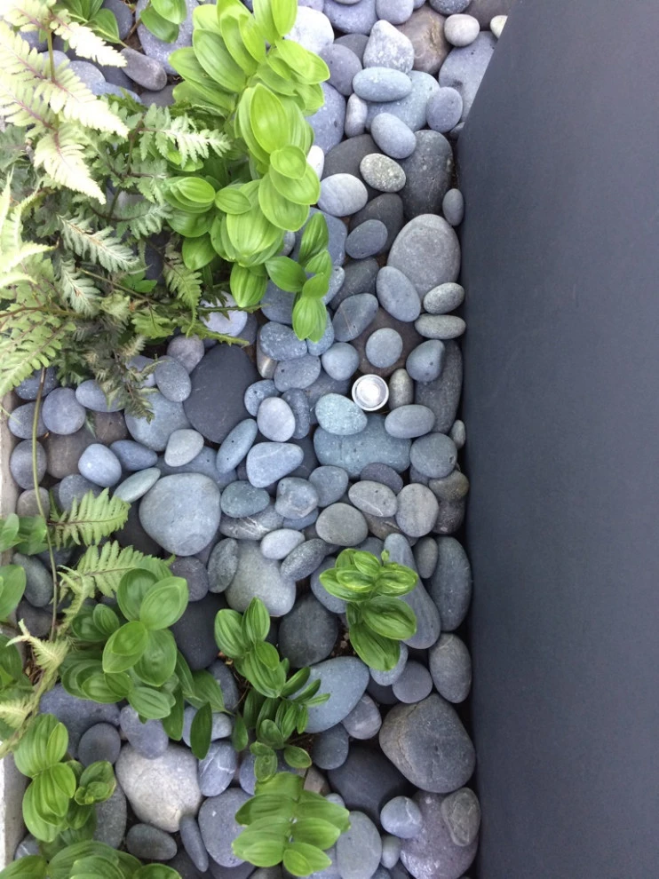 Garden for the Senses by Timothy Lee Landscape Design - Photo 10