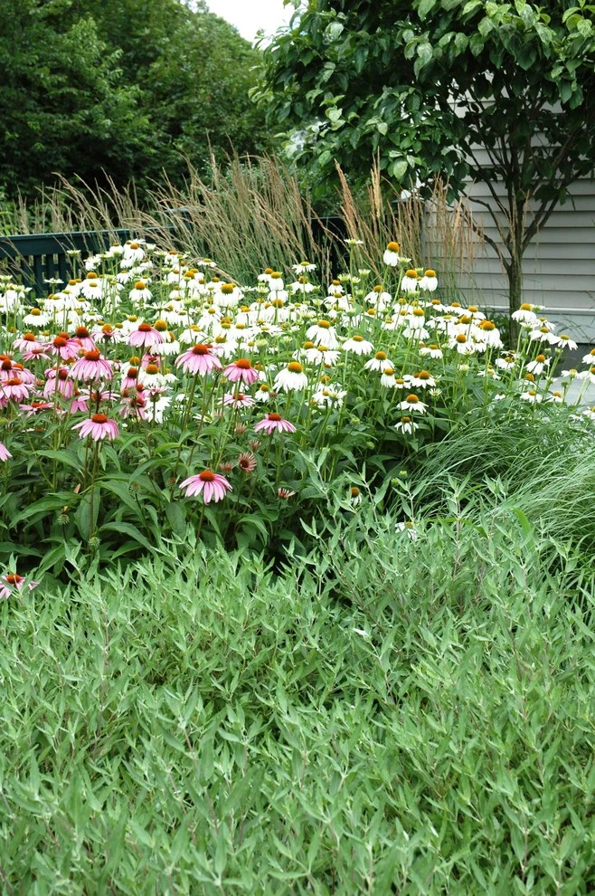 Slocum Rd. by Timothy Lee Landscape Design - Photo 3