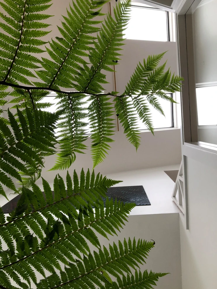 Atrium Garden by Timothy Lee Landscape Design - Photo 8