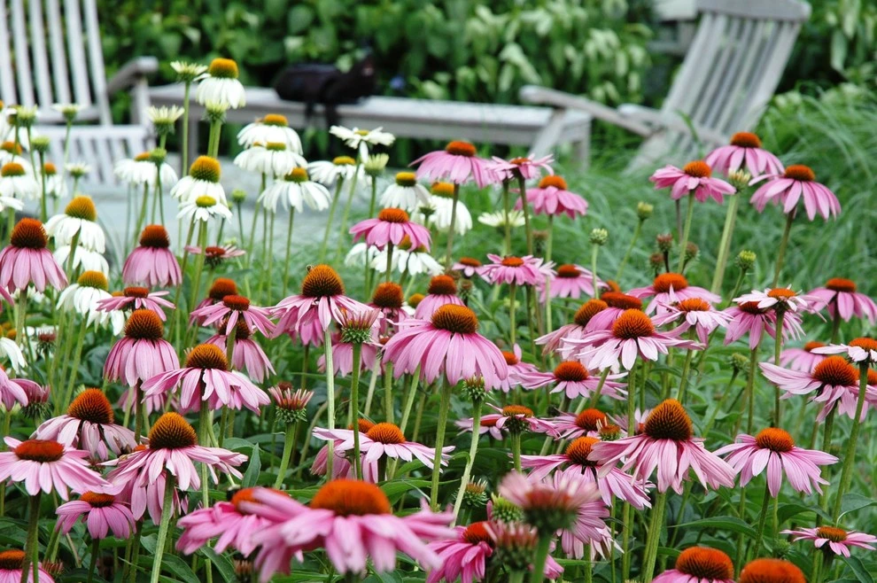 Slocum Rd. by Timothy Lee Landscape Design - Photo 4