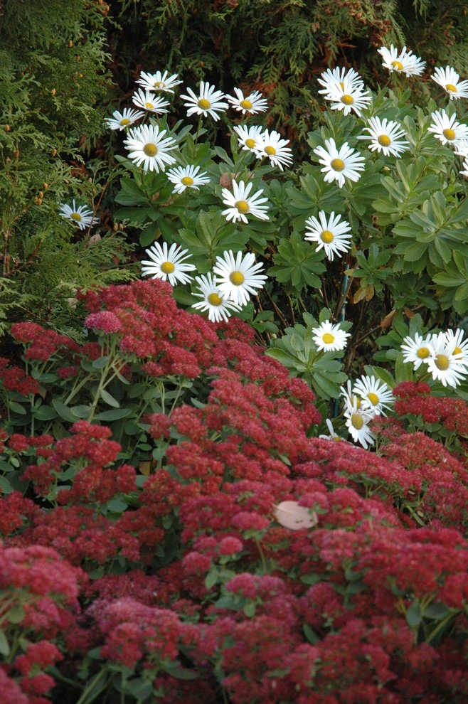 Slocum Rd. by Timothy Lee Landscape Design - Photo 18