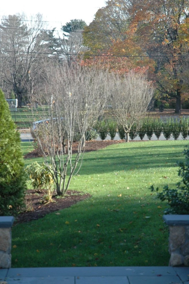 Benjamin Fitch House by Timothy Lee Landscape Design - Photo 7