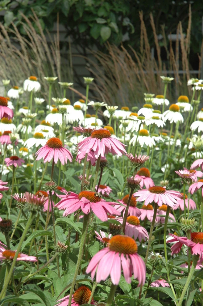 Slocum Rd. by Timothy Lee Landscape Design - Photo 16