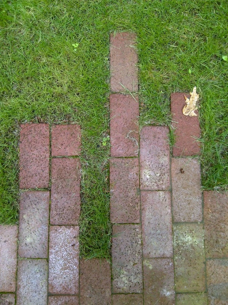 Diana Lane by Timothy Lee Landscape Design - Photo 4
