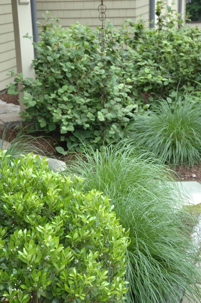 Summer Retreat by Timothy Lee Landscape Design - Photo 6