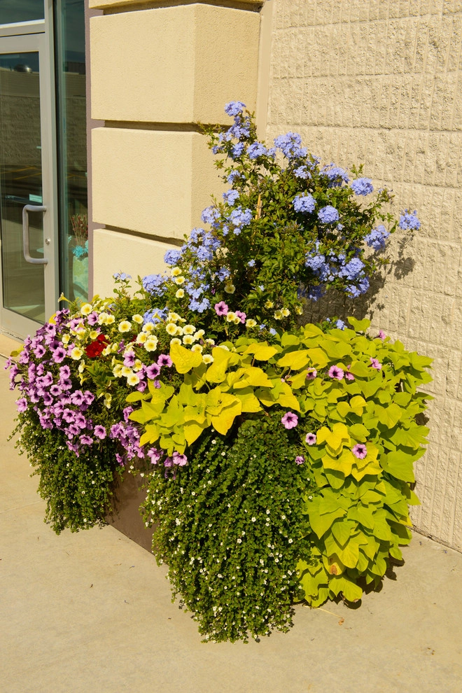 Apache Mall by Sargent's Gardens - Photo 12