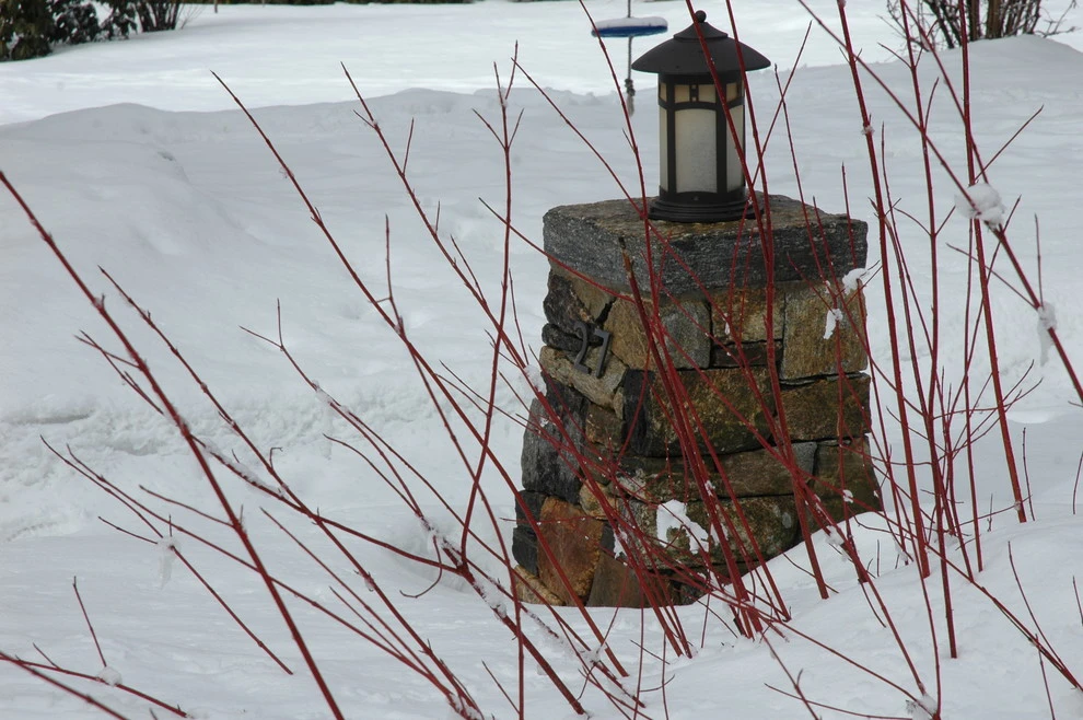 Arts & Crafts Garden by Timothy Lee Landscape Design - Photo 2