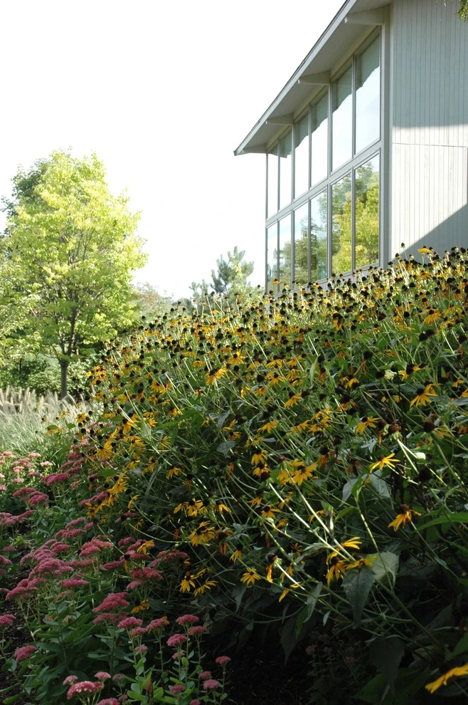 Hillside Garden by Timothy Lee Landscape Design - Photo 7