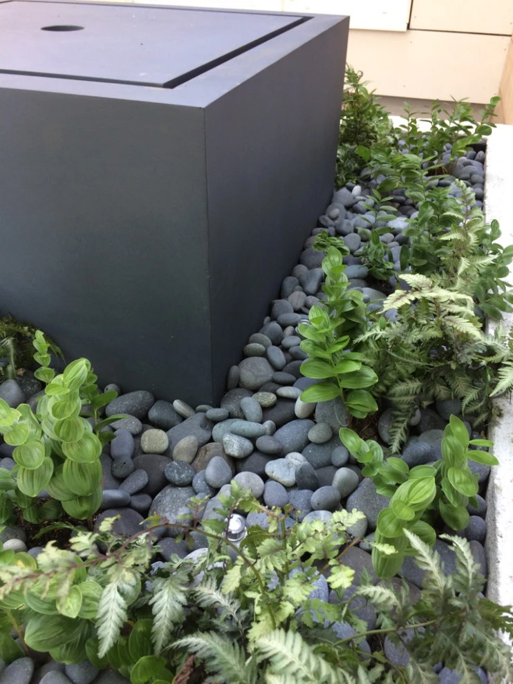 Garden for the Senses by Timothy Lee Landscape Design - Photo 6