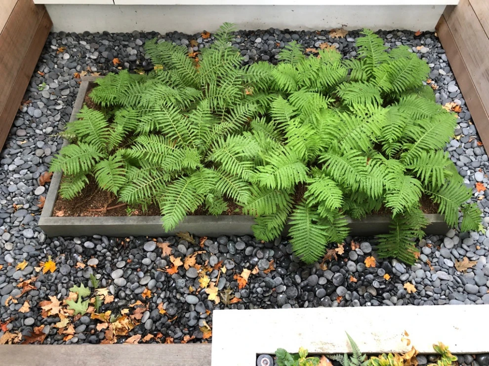 Garden for the Senses by Timothy Lee Landscape Design - Photo 5