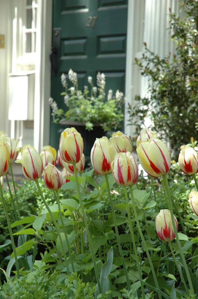 Slocum Rd. by Timothy Lee Landscape Design - Photo 31