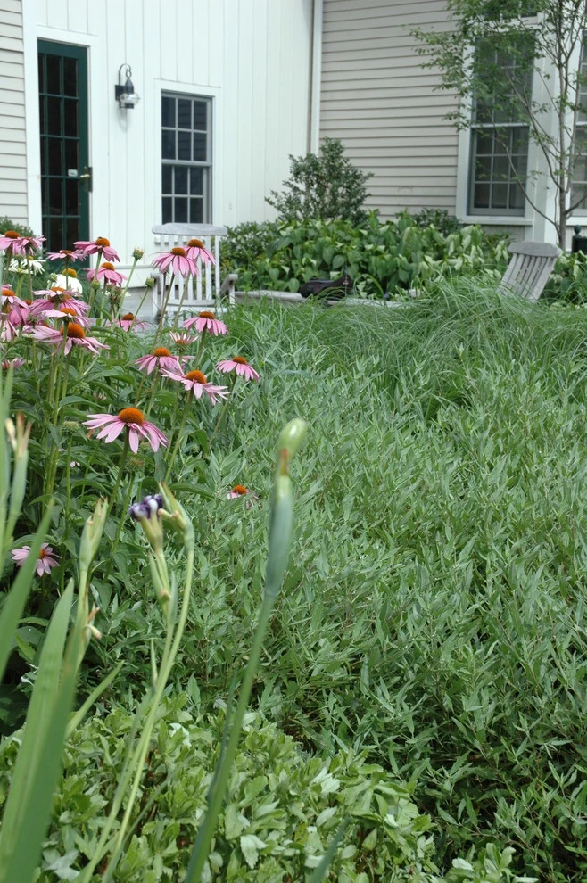 Slocum Rd. by Timothy Lee Landscape Design - Photo 2