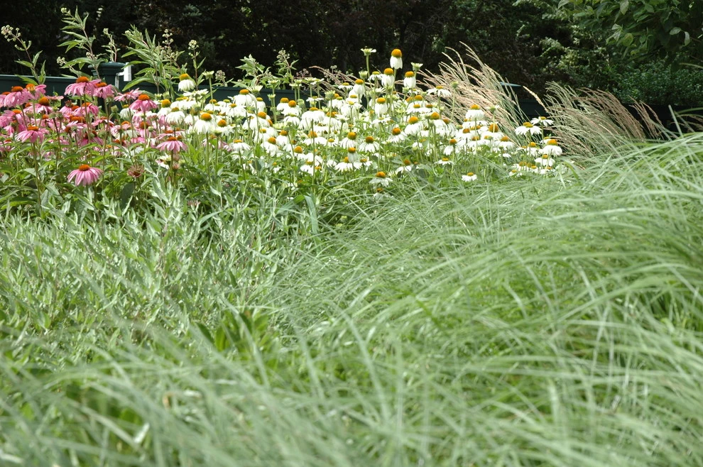 Slocum Rd. by Timothy Lee Landscape Design - Photo 20