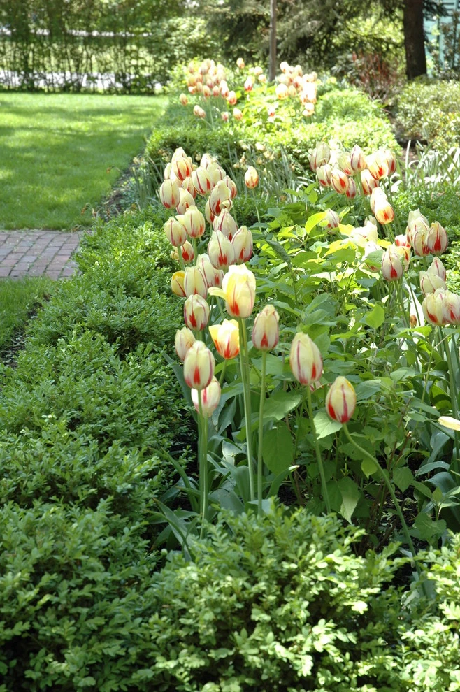Slocum Rd. by Timothy Lee Landscape Design - Photo 12